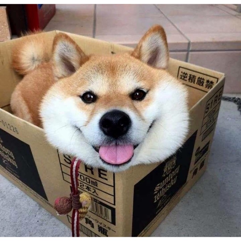 小不點工坊 禦寒手套 三款色系 Ob11 口袋人 黏土人素體手工 娃衣 周邊 蝦皮購物