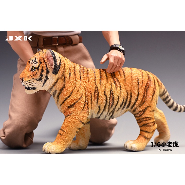 【那間模型】JXK 1:6 虎年限定版 老虎 小老虎 小貓 模型 公仔 JXK105