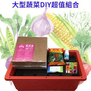 【蔬菜之家滿額免運】DIY超值組合-大型蔬菜│(內含種植所需土壤、肥料、種子、盆、藥劑)│種植箱 蔬菜箱 栽培箱 蔬菜