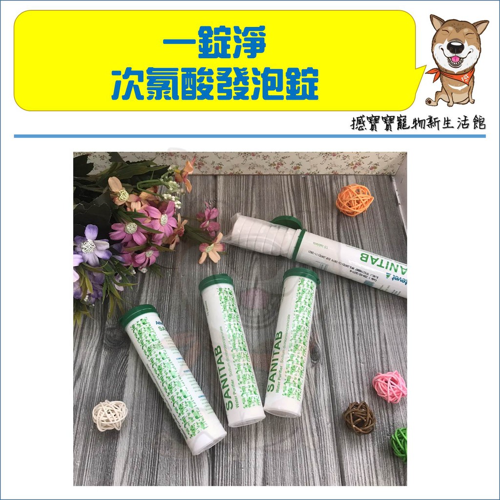 一錠淨 次氯酸發泡錠15顆裝 蝦皮購物