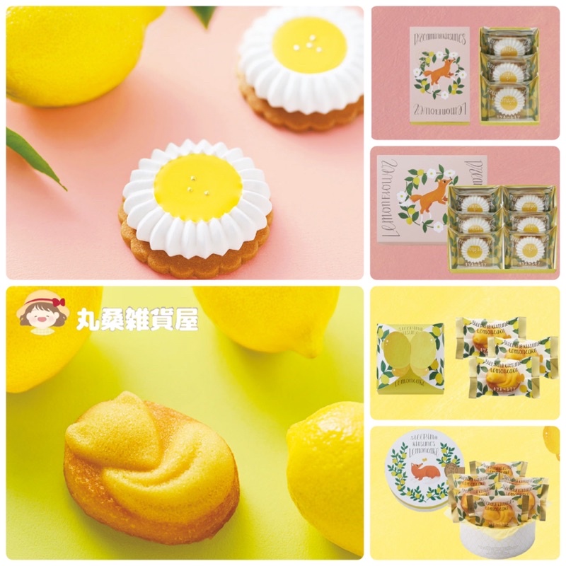 ✧ 現貨 ✧ 狐狸與檸檬 MOROZOFF X Kitsune to lemon 🦊🍋 檸檬糖霜餅乾 蛋糕