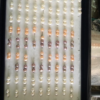 AA+ 天然淡水珍珠耳環～《珍珠直徑8-9mm》～珍珠耳環每一對售價$1088元/對！搭配S925純銀耳針+純銀耳堵耳塞