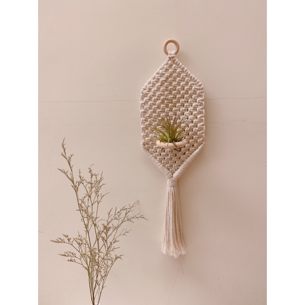 Tannpopo  macrame 北歐風 空氣鳳梨 花器 編織壁掛 編織裝飾 室內植物