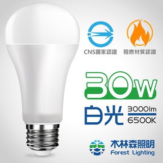 高效 30W LED燈泡 白光 WA2W 20-30 lm3000 E27燈頭 [木林森照明]