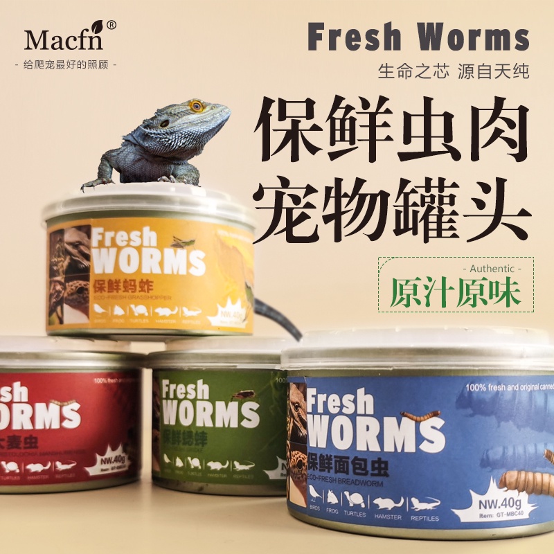 [Macfn 專區] 爬蟲專用 水龜 蜥蜴 鬃狮蜥 角蛙 守宮 蟋蟀 麵包蟲 蚱蜢 大麥蟲 保鮮罐頭 40g (送鑷子)