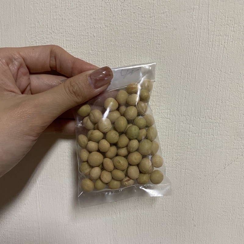 毛豆菜用大豆枝豆種子種苗菜苗花苗蔬菜水果 蝦皮購物