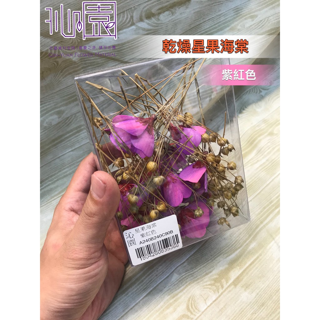 沁園 乾燥星果海棠 紫紅色 蝦皮購物