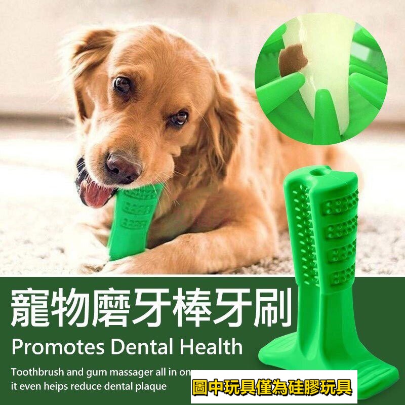 【現貨】護齒潔牙棒 寵物潔牙 磨牙 清潔牙齒 寵物玩具 寵物護齒 潔牙骨 寵物牙刷 磨牙棒 潔牙刷 貓咪狗狗玩具