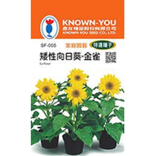 《農友種苗》特選花卉種子 SF-005 矮性向日葵-金雀