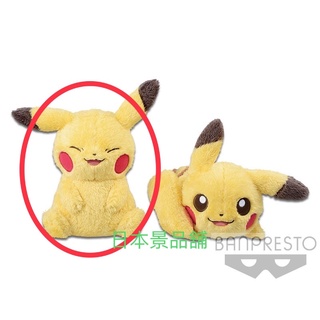 皮卡丘 神奇寶貝 日本 毛茸茸 娃娃 坐姿 開心 笑臉 寶可夢 Pokémon 絨毛玩偶 收藏 生日禮物 日貨 臺灣現貨