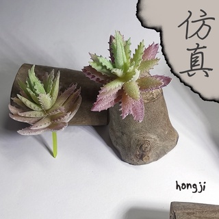 多肉 模擬多肉 微景觀 P84 假多肉植物 辦公室小物 療癒紓壓生日禮物拍照道具居家裝飾咖啡屋商店擺飾迷你木頭底座盆栽