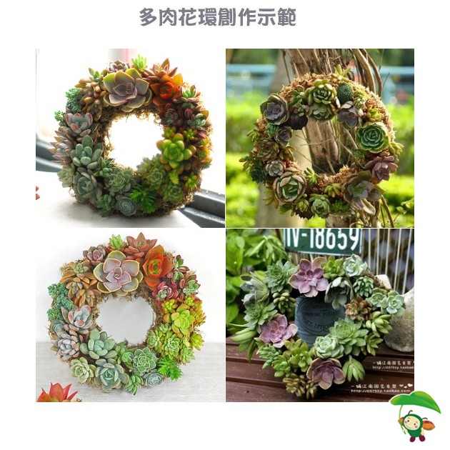 現貨 多肉花圈 鐵線花環 中 鄉村風美式鄉村復古風可吊掛龜甲網鐵製花環聖誔花圈 花園城堡 蝦皮購物