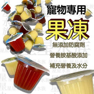 小動物專用 果凍 / 果凍臺 (單孔 雙孔 長方形大果凍臺 )刺蝟 / 甲蟲 / 獨角仙 / 鍬形蟲 烏龜 星星水族