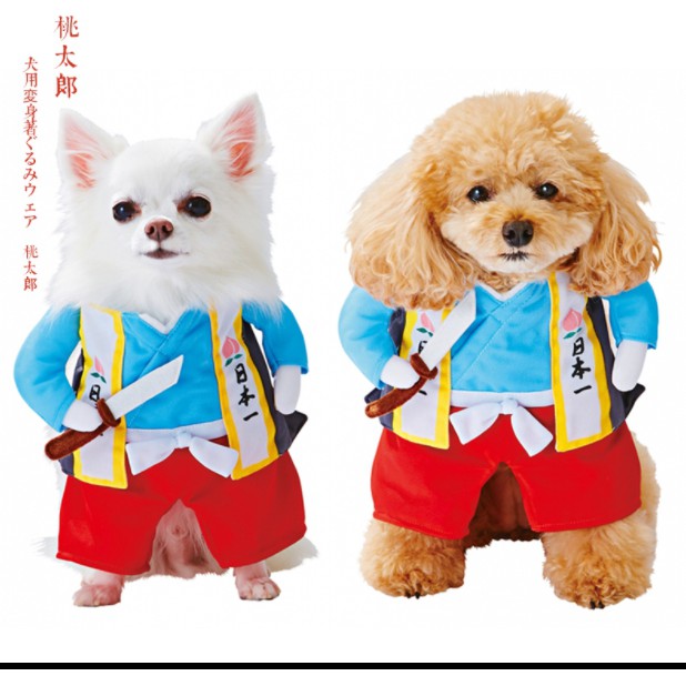 現 預 桃太郎寵物猫衣服狗衣服小武士搞笑服直立装 蝦皮購物