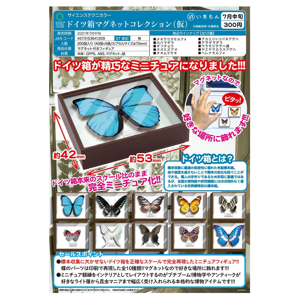 預購已滿單 Quant雜貨鋪 21年07月預購 Ikimon Stc 蝴蝶標本箱磁鐵全10款 蝦皮購物