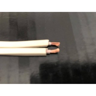 現貨 美國怪獸 Monster Cable XP NW 高純銅喇叭線240芯版本1米32急用勿選7–11取貨付款4-5天