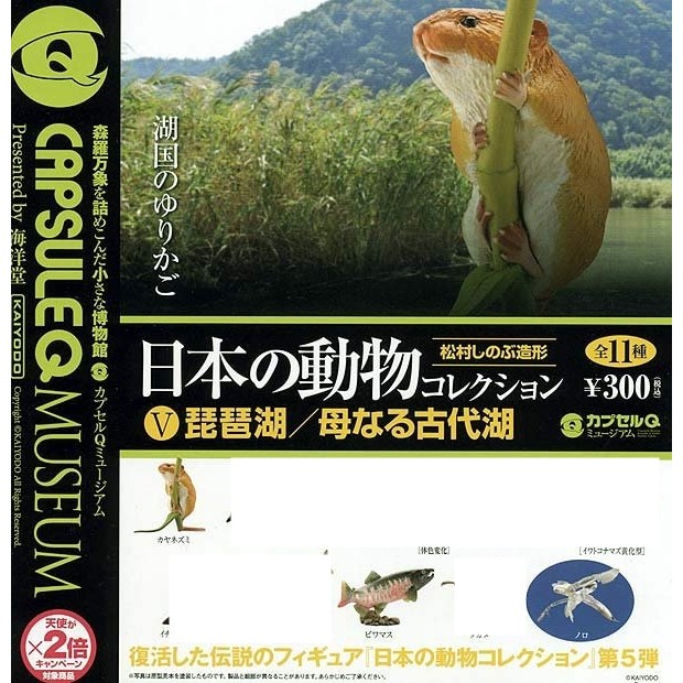 海洋堂日本的動物琵琶湖的價格推薦 22年7月 比價比個夠biggo