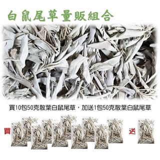 ♥10+1量販包♥白鼠尾草 散葉白鼠尾草 白色鼠尾草 White Sage 美國加州 直接進口 強力淨化 驅除負能量