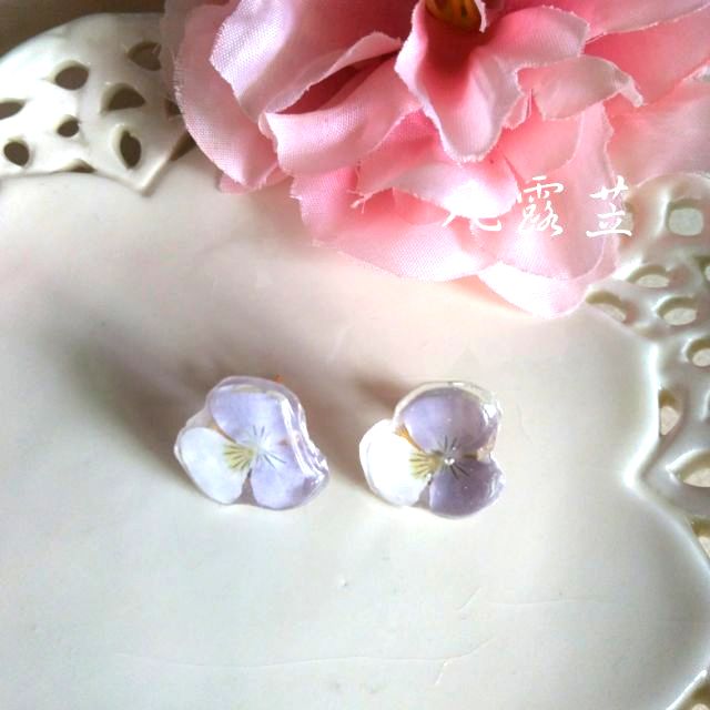 三色槿 Ptt Dcard討論與高評價網拍商品 2021年12月 飛比價格