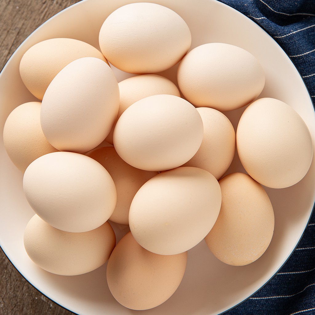 【江記食好蛋】粉嫩土雞蛋10盒#免運 雞蛋 土雞蛋 人道蛋 無藥物殘留 無抗生素 平飼 非籠飼 人道飼養
