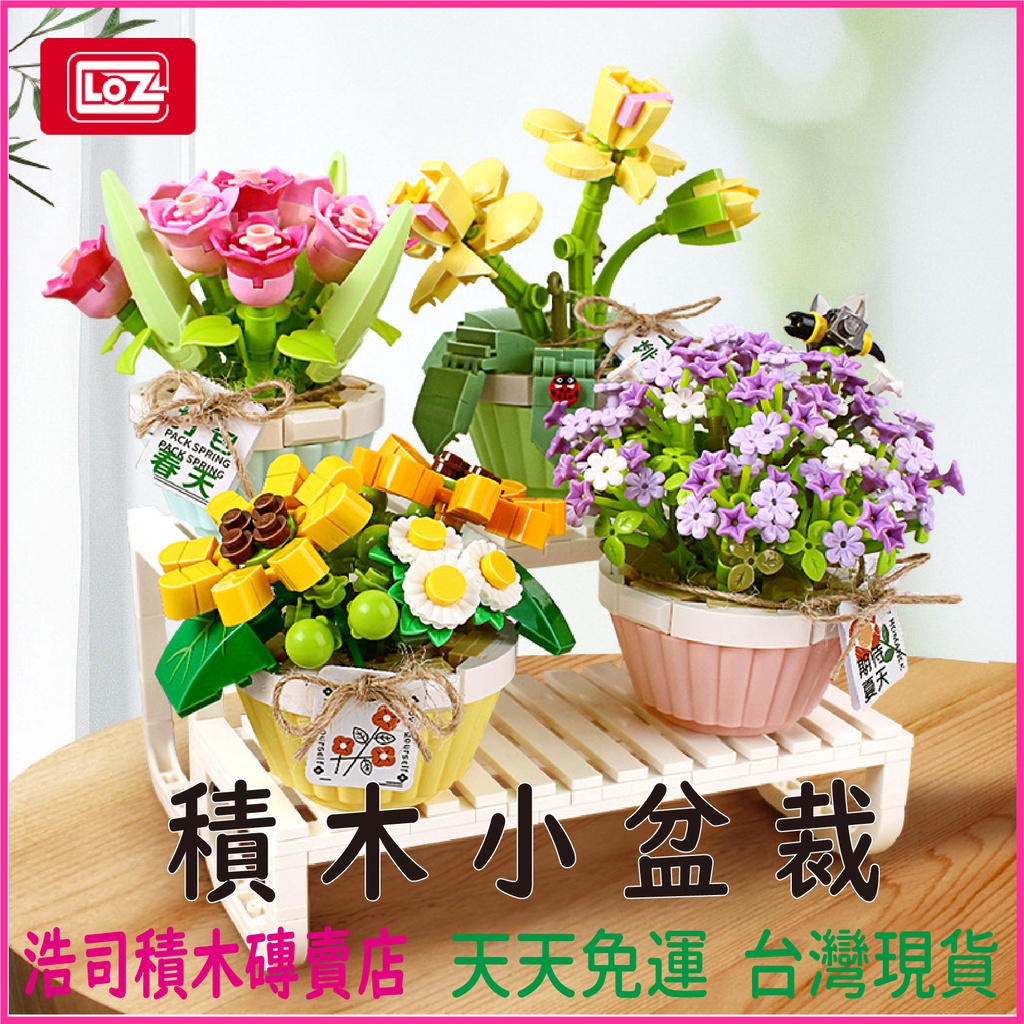 浩司積木 Loz 八月新貨現貨春日來信浮光初夏積木花束多肉小盆栽積木1673 1674 花 蝦皮購物