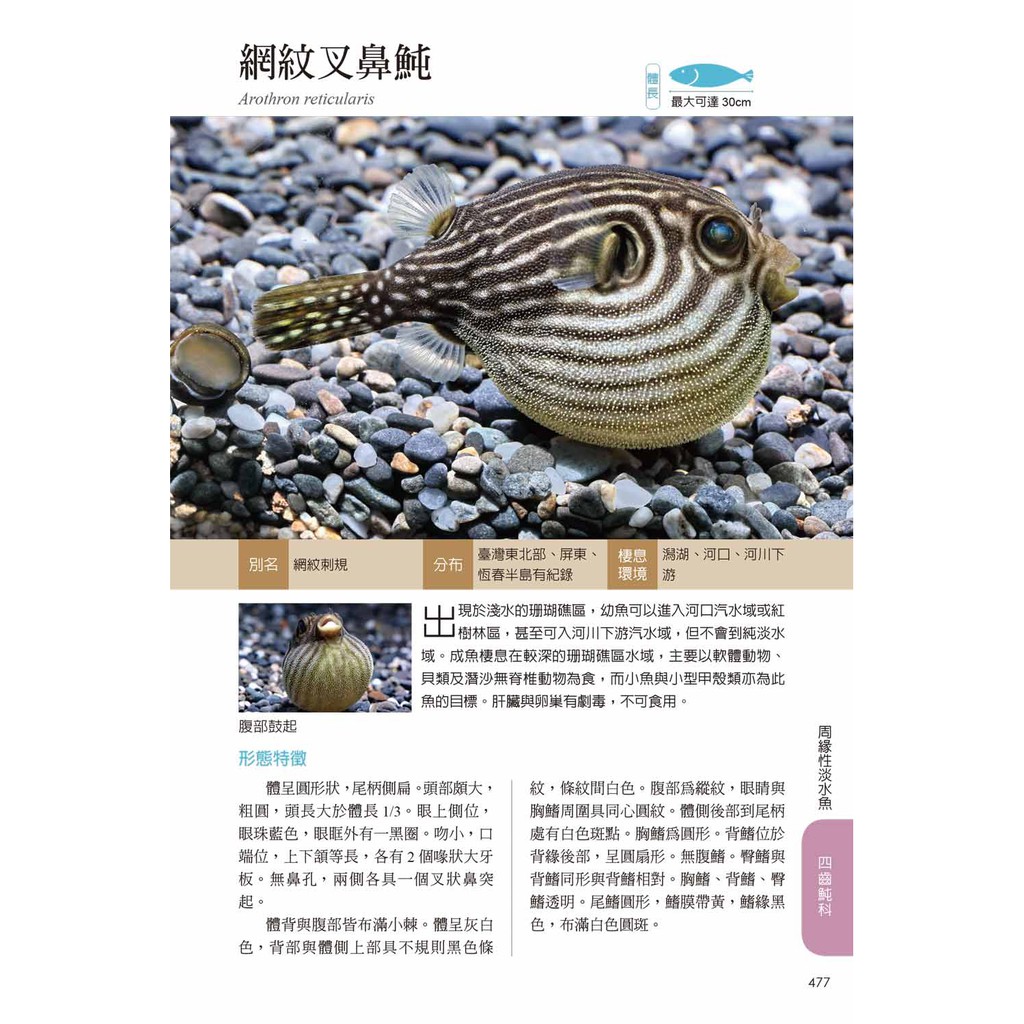 臺灣淡水及河口魚蝦圖鑑 蝦皮購物