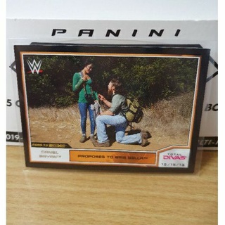 Topps Daniel Bryan WWE