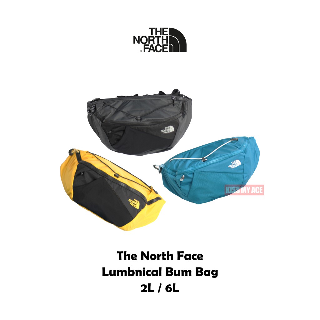 the north face lumbnical bum bag