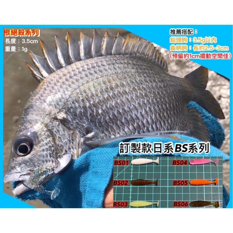 絕殺路亞 新款日系bs根魚餌 長度更小 更適合根魚使用 大小通殺神餌 蝦皮購物