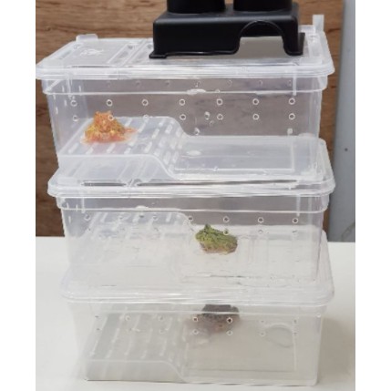 角蛙飼養盒 角蛙盒 飼養箱 飼養盒 寵物盒 寵物箱 角蛙容器 可裝 大麥蟲 青蛙 蟋蟀 甲蟲 烏龜
