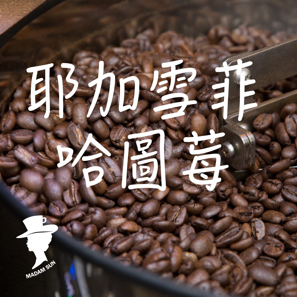 【咖啡夫人】耶加雪菲 哈圖莓 水洗 半磅 咖啡豆/咖啡粉