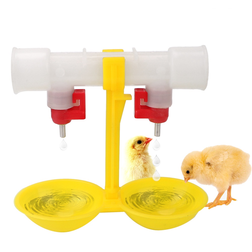 家禽飲用ディスペンサー 鶏用給水カップ漏れ防止毒性のない鳥の鶏のための安全な 青
