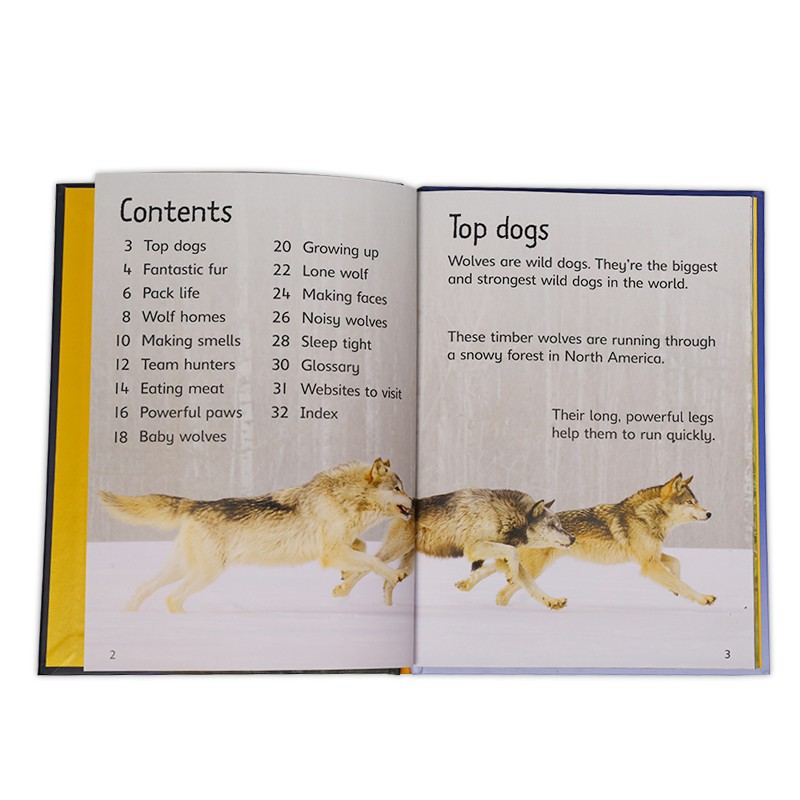 Usborne Beginners Wolves 初學者科普 狼尤斯伯恩圖書兒童英語常識啟蒙繪本讀物4歲 蝦皮購物
