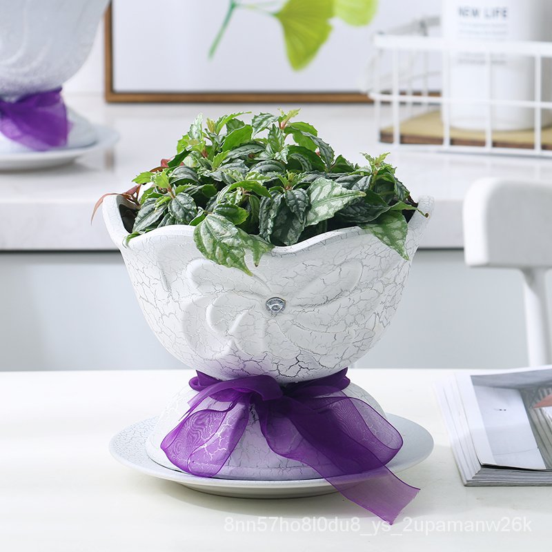 成匠北歐風ins綠蘿花盆陶瓷特價帶托盤大號綠植物家用簡約多肉盆 蝦皮購物
