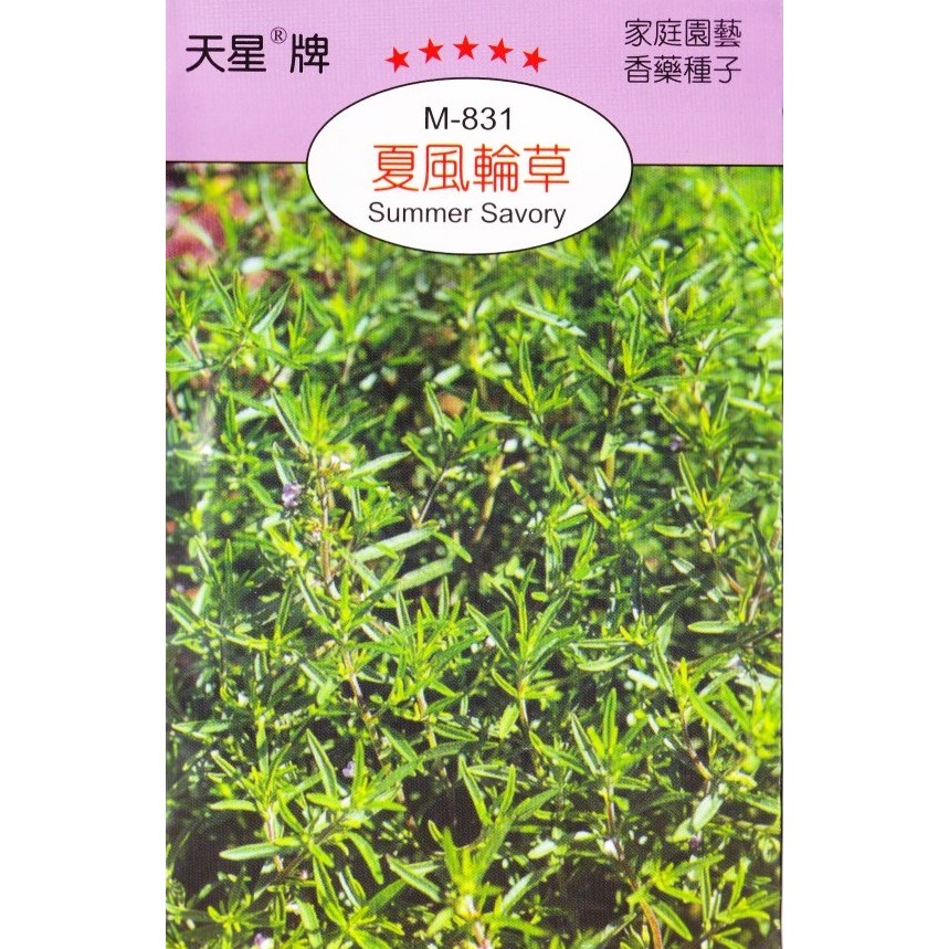 種子王國夏風輪草 香藥草種子 天星牌小包裝種子 蝦皮購物