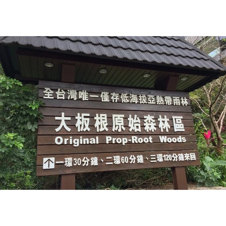 小昭~三峽大板根餐卷假日券840送門票~~善導寺店面可面交