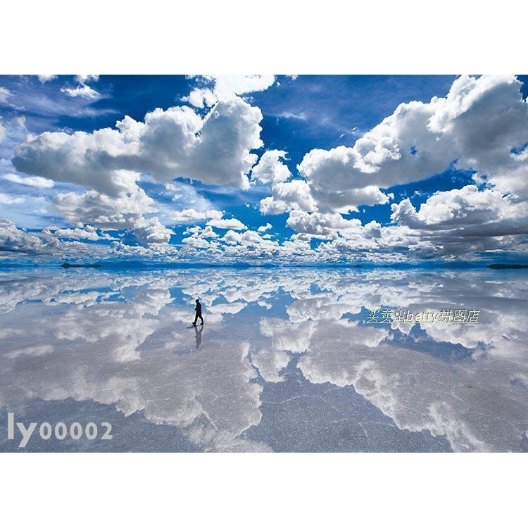 爆款日本進口拼圖epoch玻利維亞的鹽湖3000片成人拼圖海外風景 Ly 蝦皮購物
