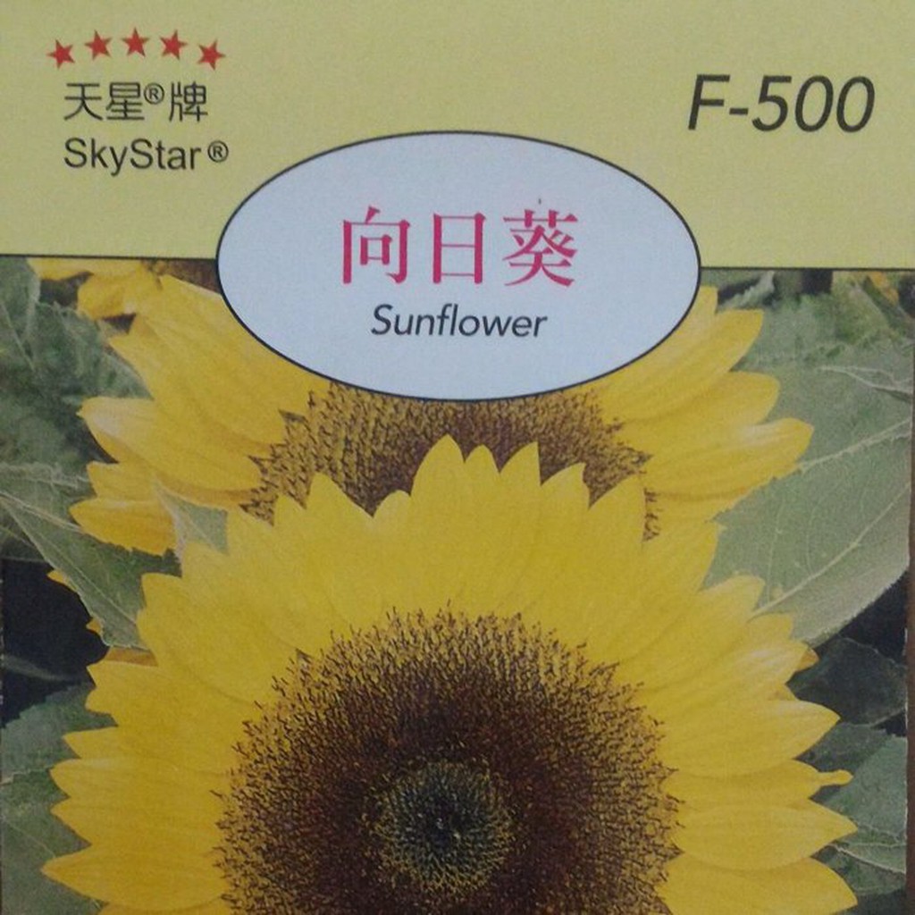 愛上種子 向日葵 【花卉種子】天星牌 花卉小包裝種子
