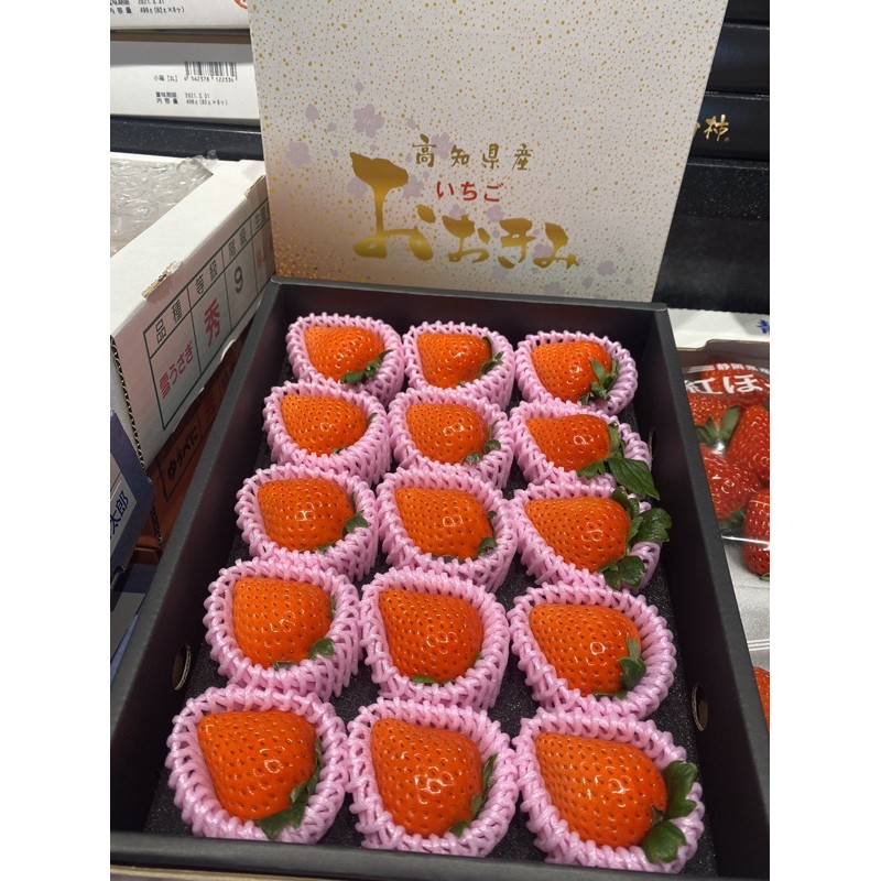 各式日本草莓蜜糖草莓菊池糖蜜草莓長崎糖蜜草莓古都華草莓淡雪草莓熊本熊草莓福岡草莓唐津草莓圓盒淡雪大妃美 蝦皮購物