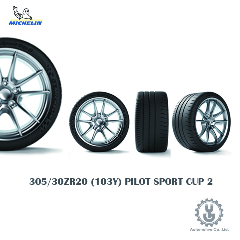 Michelin 米其林輪胎 305/30ZR20 (103Y) PILOT SPORT CUP 2 空運【YG】