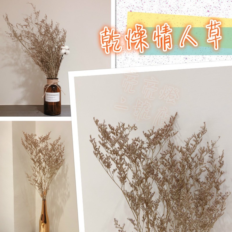 台灣現貨 乾燥情人草卡斯比亞乾燥花配草花束材料捧花盆花花材插花情人花勿忘我居家擺設佈置房間裝飾 蝦皮購物