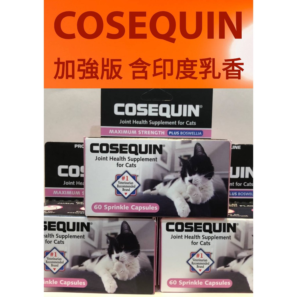 蝦皮代開發票 COSEQUIN 加強版 貓用關節保健品 含印度乳香 dasuquin 貓 寵物 軟骨素 葡萄糖胺