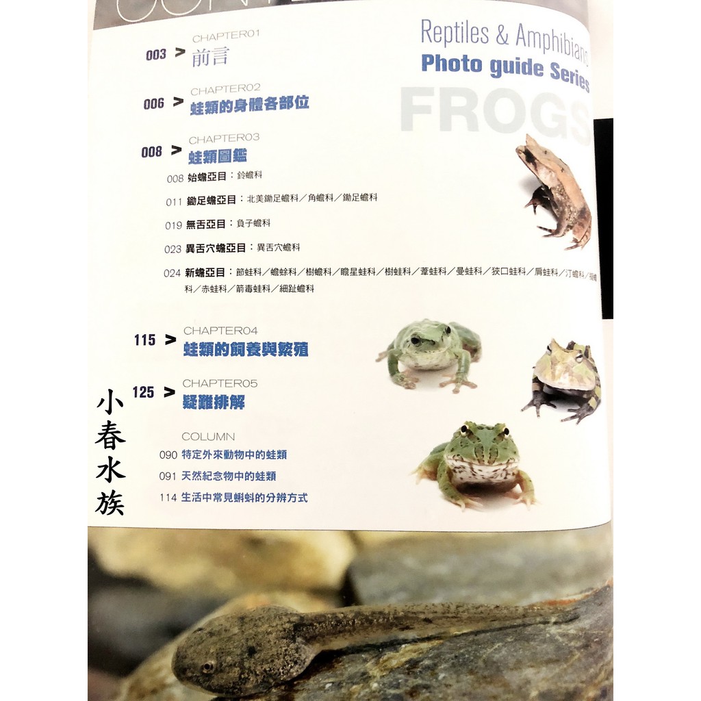 小春水族 蛙類超圖鑑 蝦皮購物