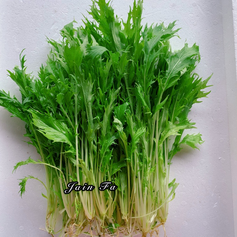 無農藥京都水菜 日本水菜 蝦皮購物
