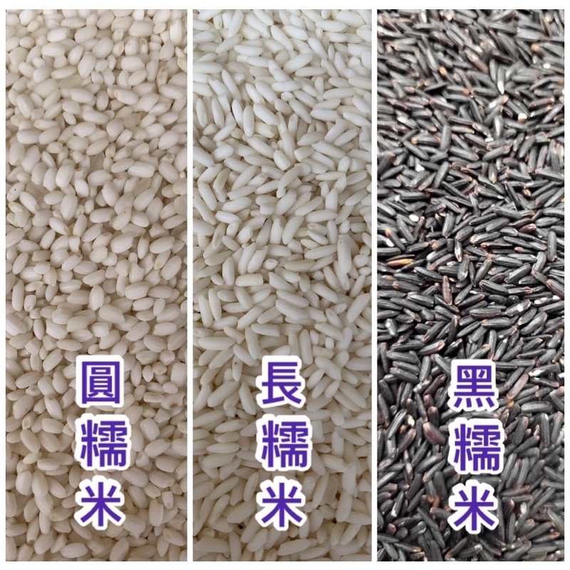 台灣🇹🇼 圓糯米 長糯米 黑糯米 Short-grain/Long-grain/Black glutinous rice