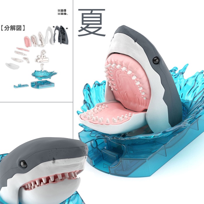 夏本舖 代理bandai 大自然探索實驗室鯊魚大白鯊鋸齒盾鱗骨骼鰓裂動物海洋生物組裝模型可動 蝦皮購物