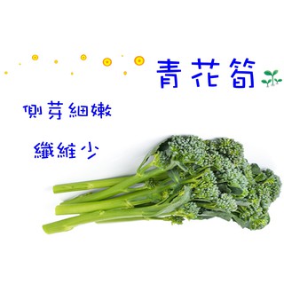 蔬菜之家 B07 青花筍種子12顆 日本進口元氣品種 口感似青花椰菜 花朵較小 較脆較鮮甜 蝦皮購物