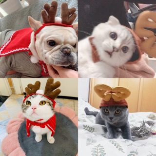 寵物聖誕頭飾🥰狗狗貓咪頭套