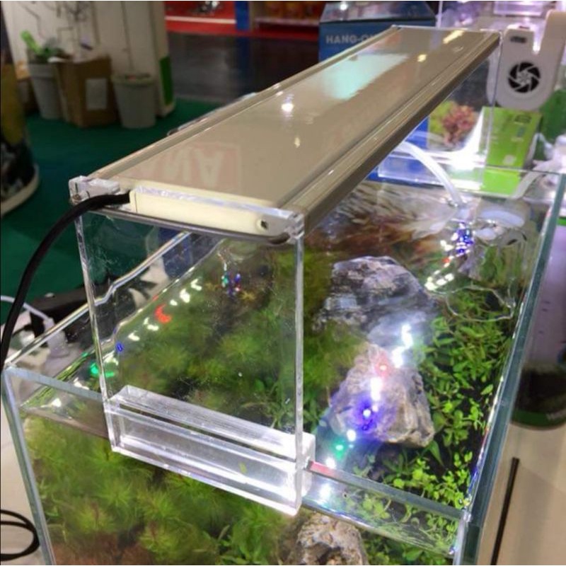 鑫林水族免運 台灣伊士達高透光水草跨燈 30 60公分 水草缸 水草 Co2 水草造景 Led跨燈 魚缸 蝦皮購物