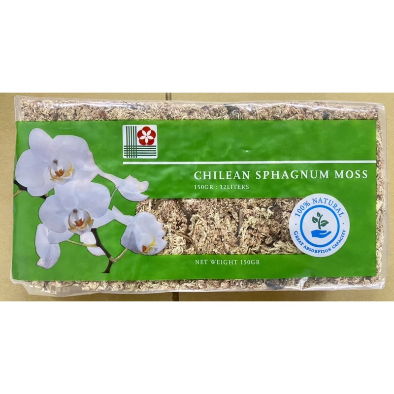 水苔水草的價格推薦第4 頁 21年8月 比價比個夠biggo